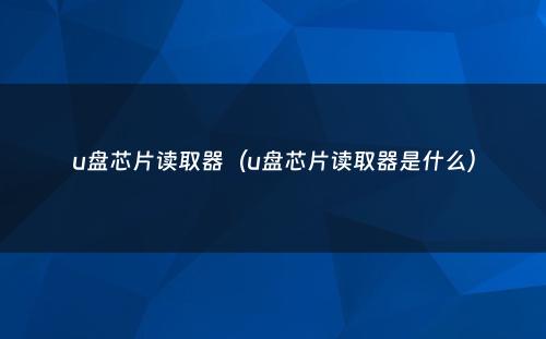 u盘芯片读取器(u盘芯片读取器是什么)