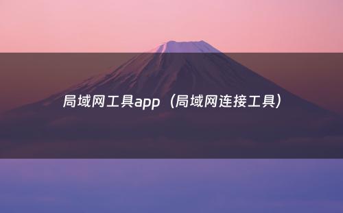局域网工具app（局域网连接工具）