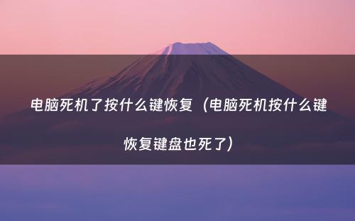 电脑死机了按什么键恢复(电脑死机按什么键恢复键盘也死了)