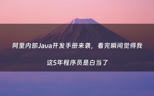 阿里内部Java开发手册来袭，看完瞬间觉得我这5年程序员是白当了