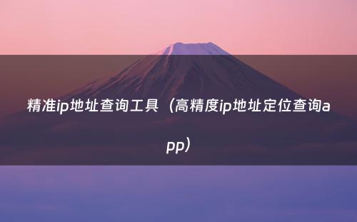 精准ip地址查询工具（高精度ip地址定位查询app）