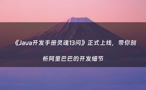 《Java开发手册灵魂13问》正式上线，带你剖析阿里巴巴的开发细节