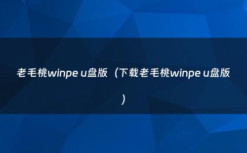 老毛桃winpe u盘版（下载老毛桃winpe u盘版）