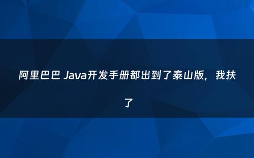 阿里巴巴 Java开发手册都出到了泰山版，我扶了