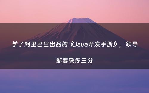 学了阿里巴巴出品的《Java开发手册》，领导都要敬你三分
