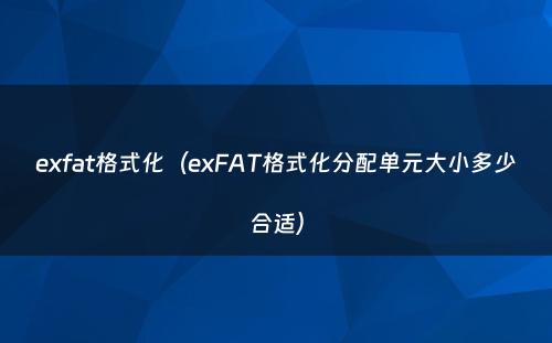 exfat格式化（exFAT格式化分配单元大小多少合适）