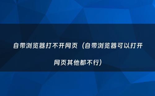 自带浏览器打不开网页（自带浏览器可以打开网页其他都不行）