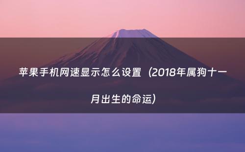 苹果手机网速显示怎么设置（2018年属狗十一月出生的命运）