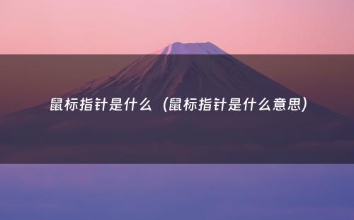 鼠标指针是什么(鼠标指针是什么意思)