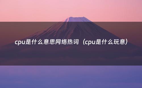 cpu是什么意思网络热词（cpu是什么玩意）