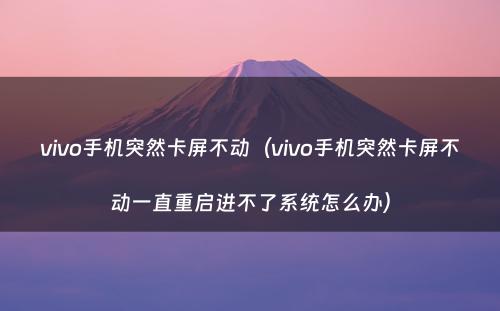 vivo手机突然卡屏不动(vivo手机突然卡屏不动一直重启进不了系统怎么办)