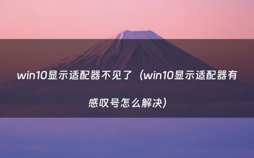 win10显示适配器不见了(win10显示适配器有感叹号怎么解决)