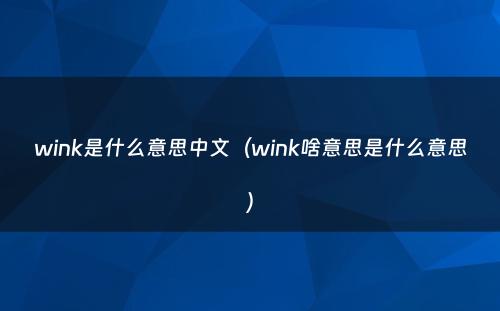 wink是什么意思中文（wink啥意思是什么意思）