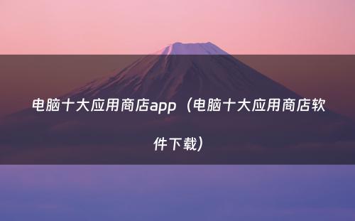 电脑十大应用商店app（电脑十大应用商店软件下载）