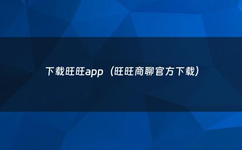 下载旺旺app(旺旺商聊官方下载)