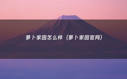 萝卜家园怎么样（萝卜家园官网）