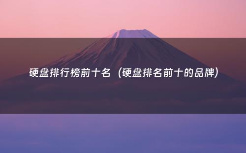 硬盘排行榜前十名（硬盘排名前十的品牌）