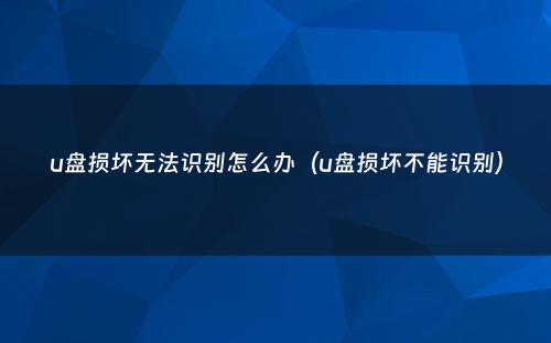 u盘损坏无法识别怎么办（u盘损坏不能识别）