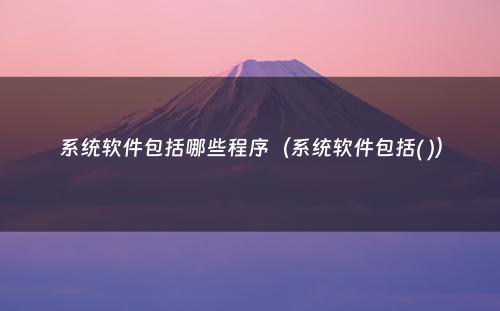 系统软件包括哪些程序（系统软件包括( )）