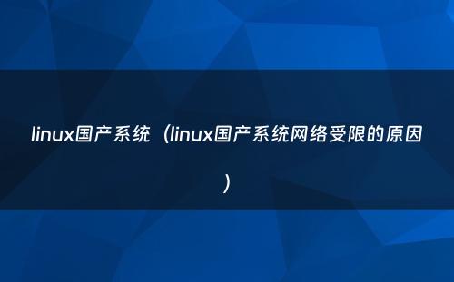 linux国产系统（linux国产系统网络受限的原因）