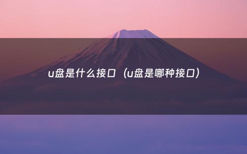 u盘是什么接口（u盘是哪种接口）