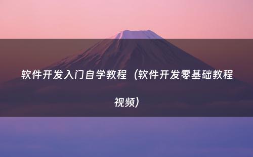 软件开发入门自学教程（软件开发零基础教程视频）