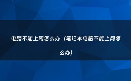 电脑不能上网怎么办（笔记本电脑不能上网怎么办）