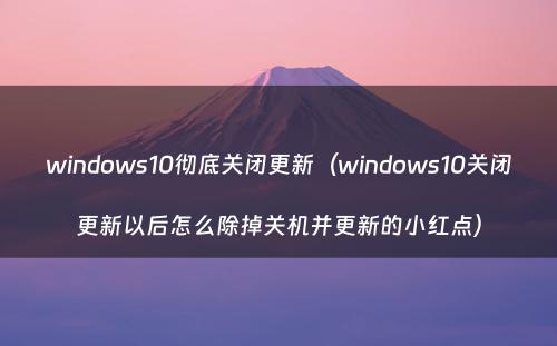 windows10彻底关闭更新(windows10关闭更新以后怎么除掉关机并更新的小红点)