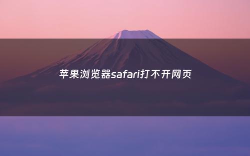 苹果浏览器safari打不开网页