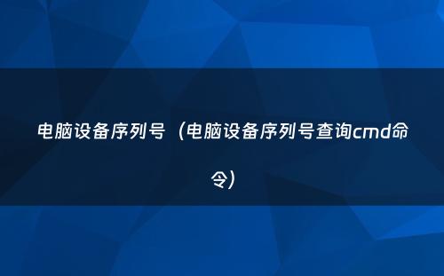 电脑设备序列号（电脑设备序列号查询cmd命令）