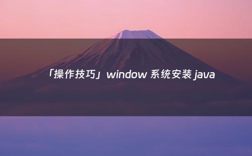 「操作技巧」window 系统安装 java