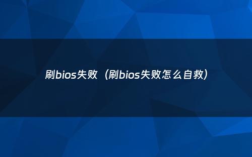 刷bios失败（刷bios失败怎么自救）