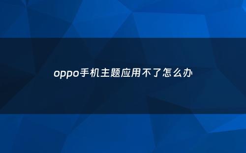 oppo手机主题应用不了怎么办