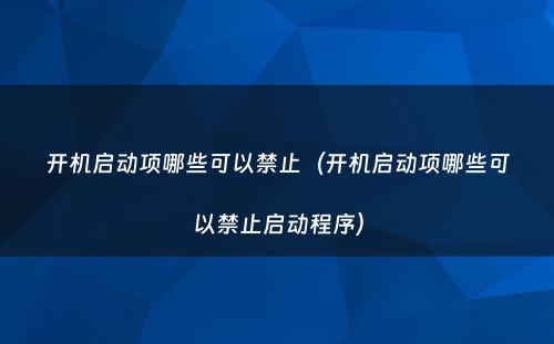 开机启动项哪些可以禁止（开机启动项哪些可以禁止启动程序）
