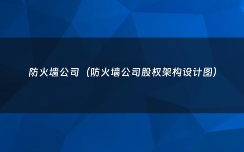防火墙公司（防火墙公司股权架构设计图）