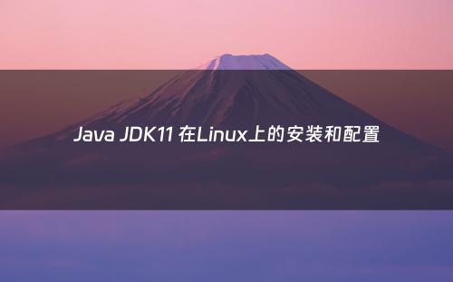 Java JDK11 在Linux上的安装和配置