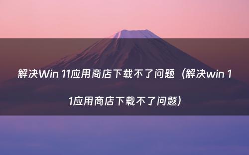 解决Win 11应用商店下载不了问题（解决win 11应用商店下载不了问题）