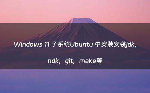 Windows 11 子系统Ubuntu 中安装安装jdk，ndk，git，make等