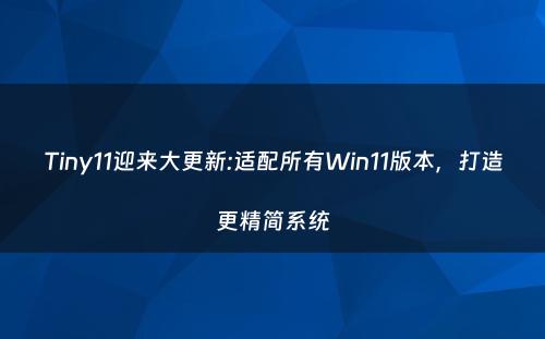 Tiny11迎来大更新:适配所有Win11版本，打造更精简系统