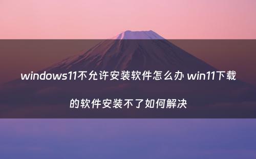 windows11不允许安装软件怎么办 win11下载的软件安装不了如何解决