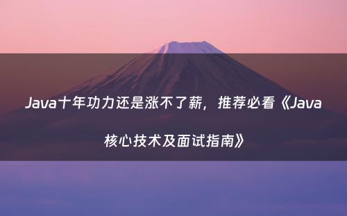 Java十年功力还是涨不了薪，推荐必看《Java核心技术及面试指南》