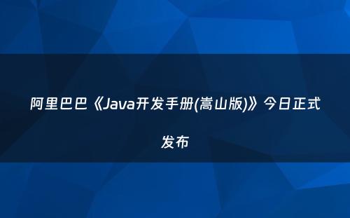 阿里巴巴《Java开发手册(嵩山版)》今日正式发布