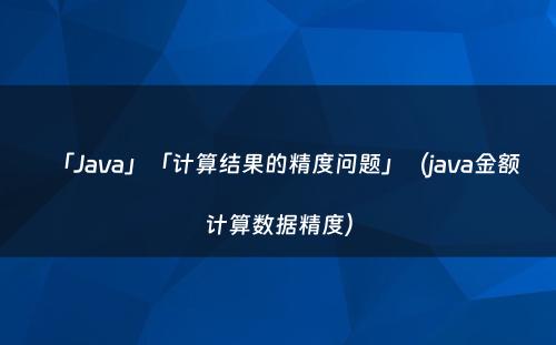 「Java」「计算结果的精度问题」（java金额计算数据精度）