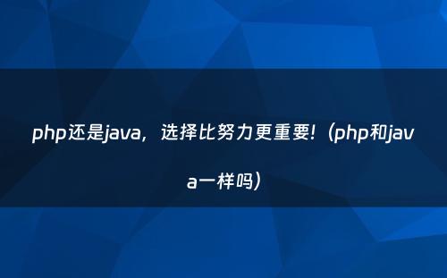 php还是java，选择比努力更重要!（php和java一样吗）
