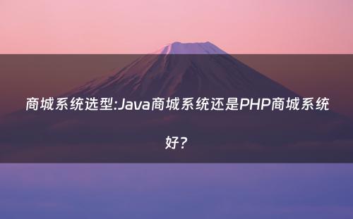 商城系统选型:Java商城系统还是PHP商城系统好?