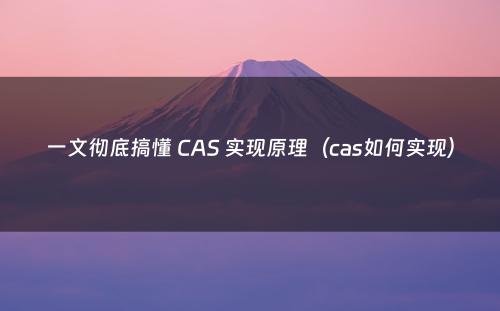 一文彻底搞懂 CAS 实现原理（cas如何实现）