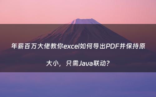 年薪百万大佬教你excel如何导出PDF并保持原大小，只需Java联动?
