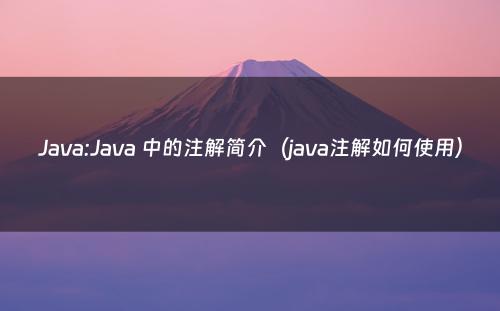 Java:Java 中的注解简介（java注解如何使用）