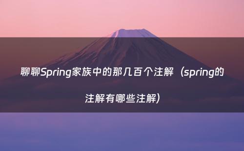 聊聊Spring家族中的那几百个注解（spring的注解有哪些注解）