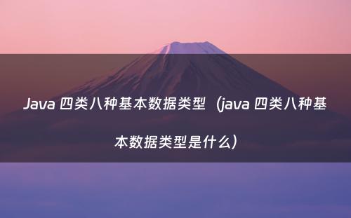 Java 四类八种基本数据类型（java 四类八种基本数据类型是什么）